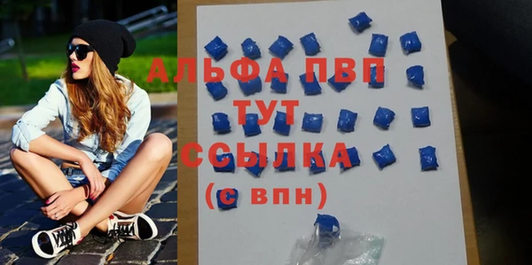 Альфа ПВП Верея