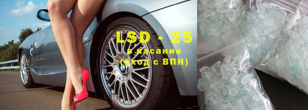 PSILOCYBIN Бородино