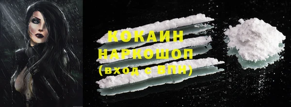 PSILOCYBIN Бородино
