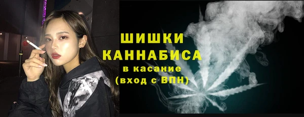 Альфа ПВП Верея