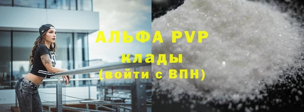 PSILOCYBIN Бородино