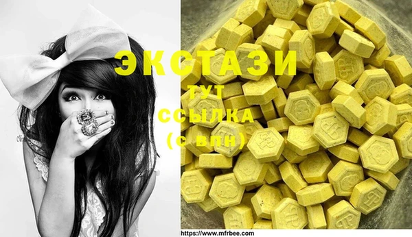 PSILOCYBIN Бородино