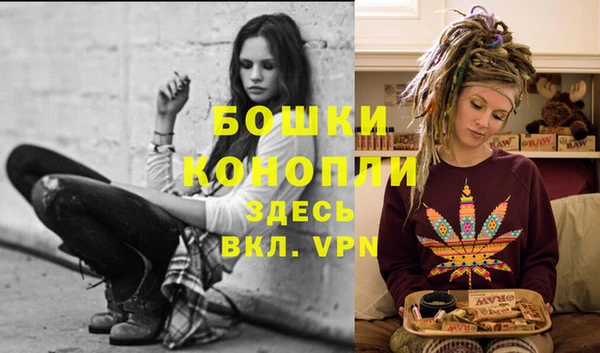 PSILOCYBIN Бородино
