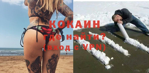 PSILOCYBIN Бородино